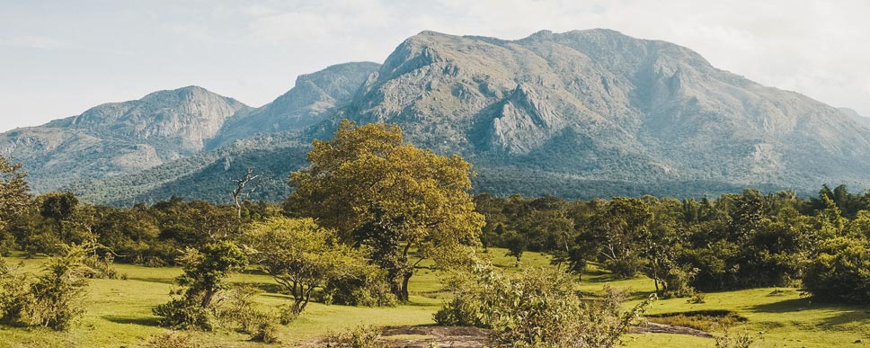 mudumalai mauntain