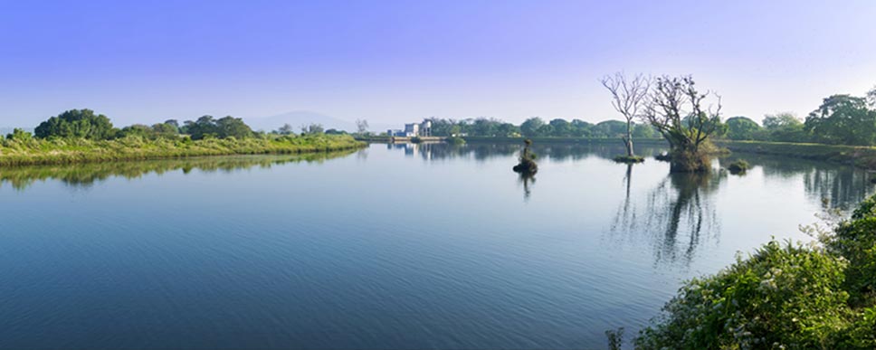 mudumalai beauty