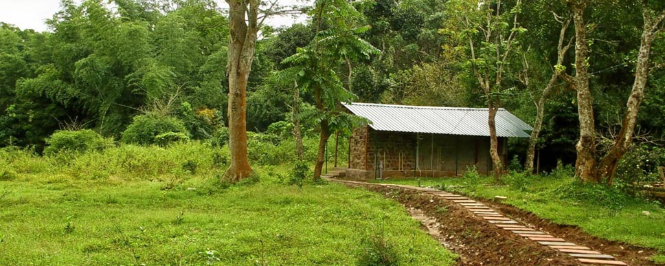 mudumalai forest