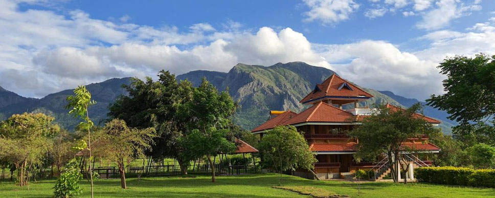 hotels in mudumalai 