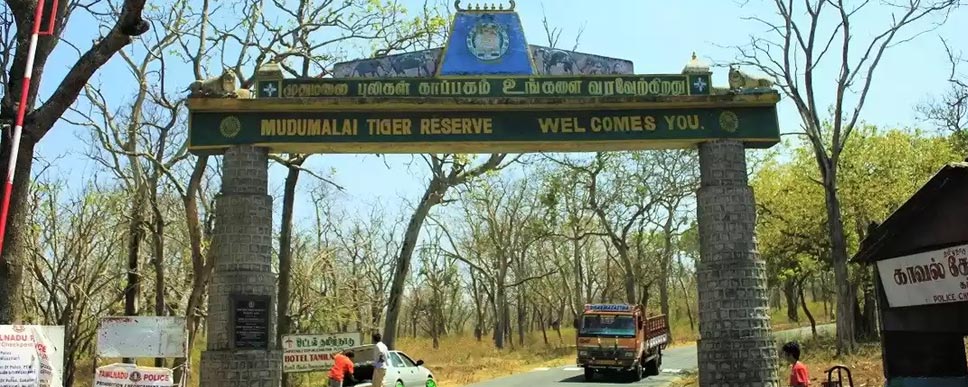 mudumalai tour