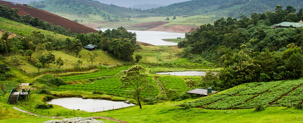 oty tour with mudumalai