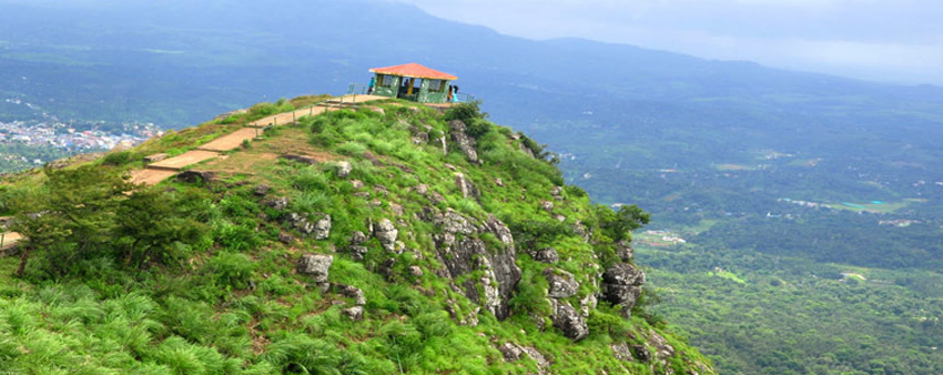 tourist attaction mudumalai